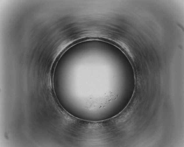 X0000095920887200801181415