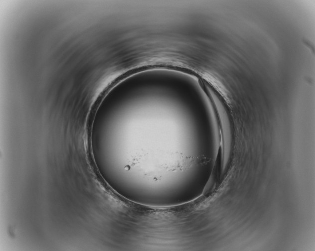 X0000095920888200801181415