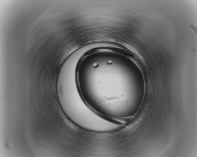 X0000095920889200801181415