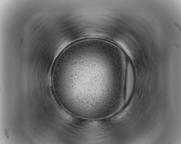 X0000095920891200801181415