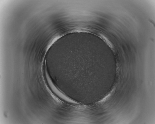 X0000095920893200801181415