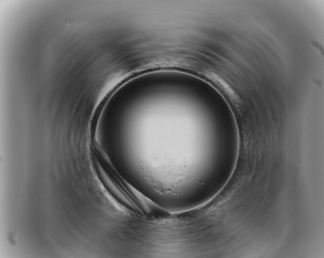 X0000095920894200801181415