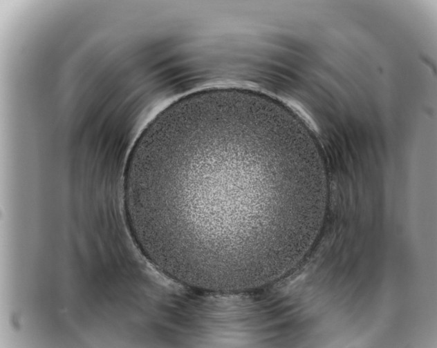 X0000095920895200801181415