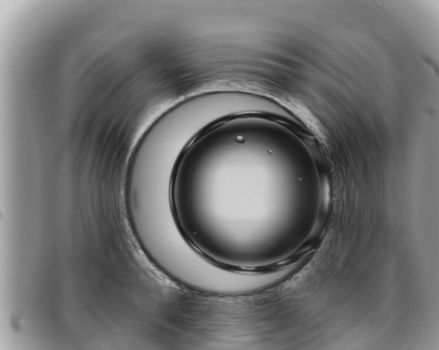 X0000095920896200801181415