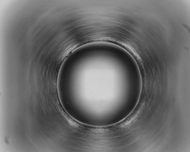 X0000095920897200801181415