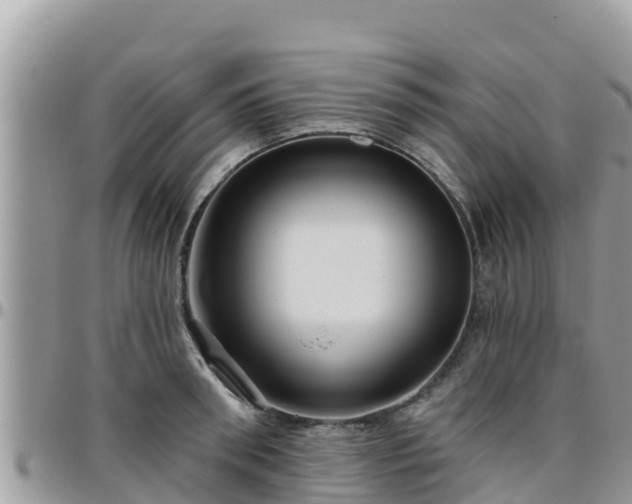 X0000095920898200801181415