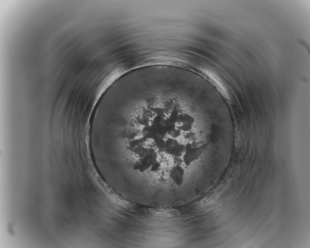 X0000095920899200801181415