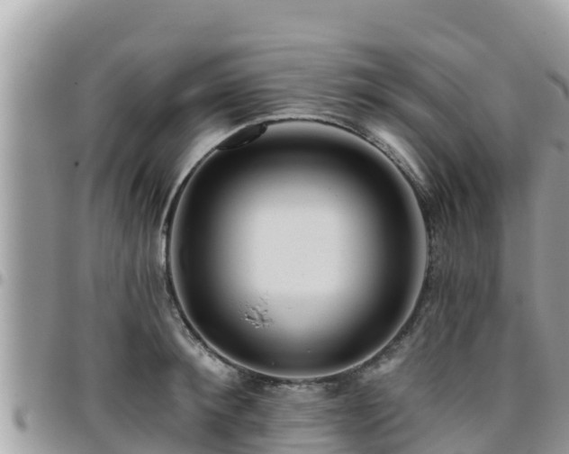 X0000095920900200801181415