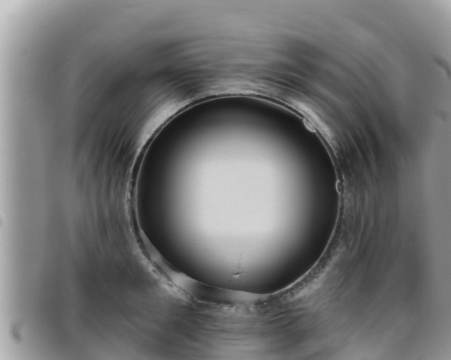 X0000095920901200801181415