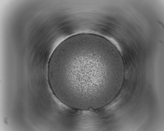 X0000095920903200801181415