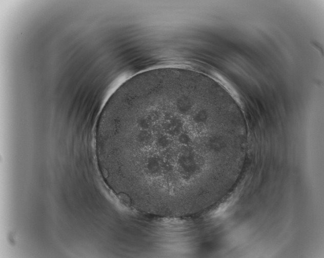 X0000095920907200801181415