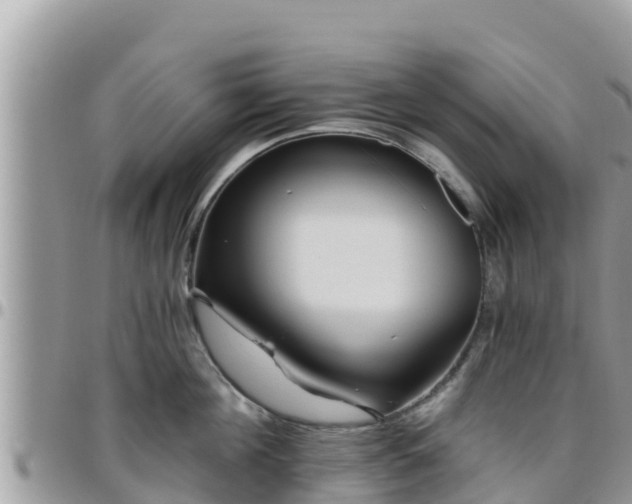 X0000095920908200801181415