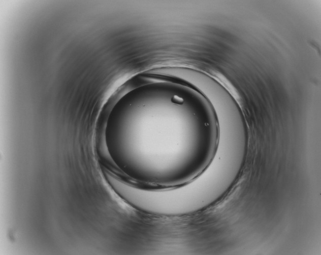 X0000095920909200801181415