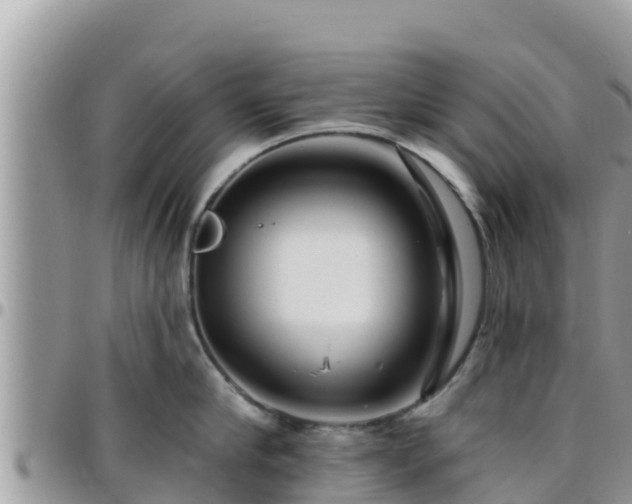 X0000095920910200801181415