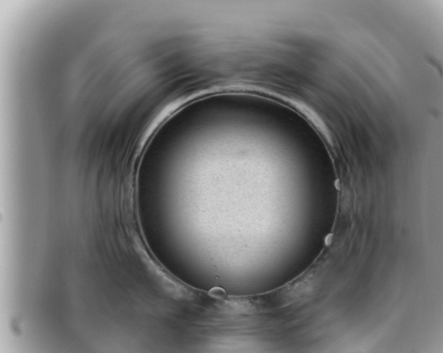 X0000095920911200801181415