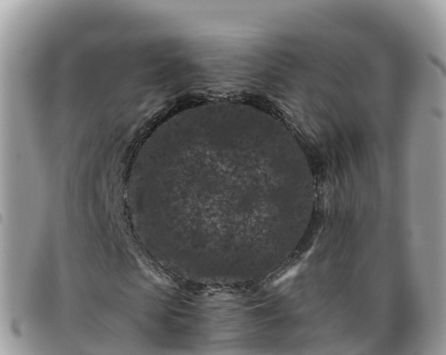 X0000095920913200801181414