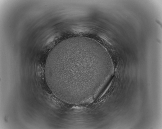 X0000095920917200801181414