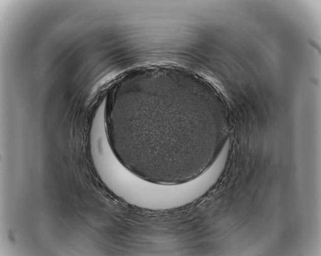 X0000095920920200801181414