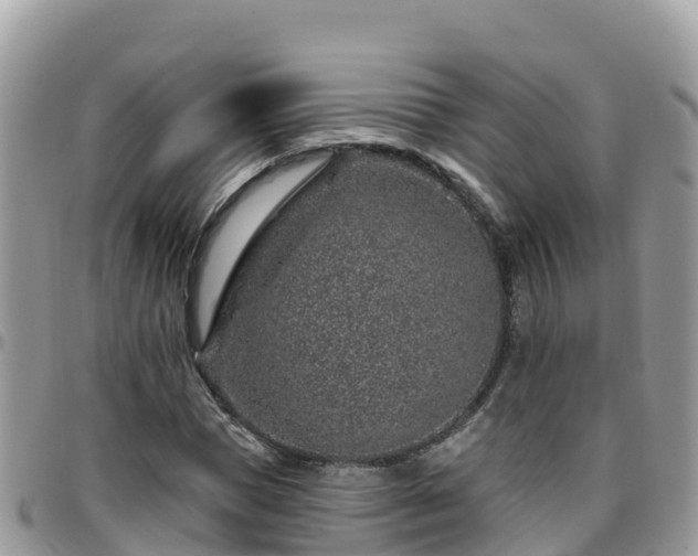 X0000095920921200801181414