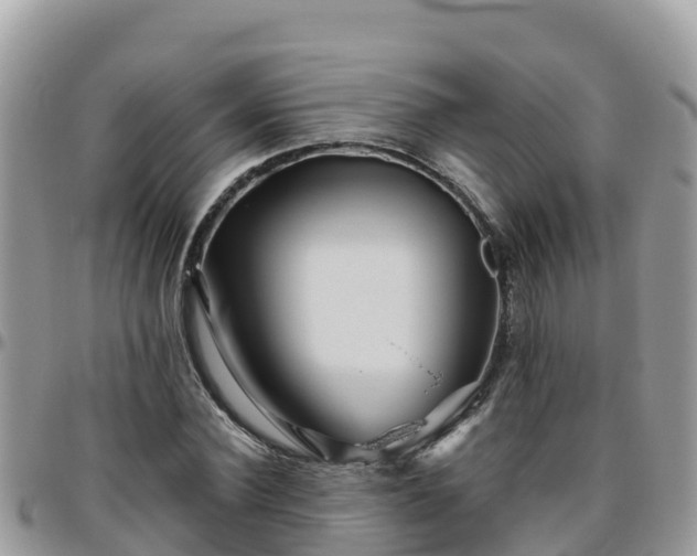 X0000095920924200801181414