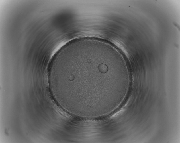 X0000095920925200801181414