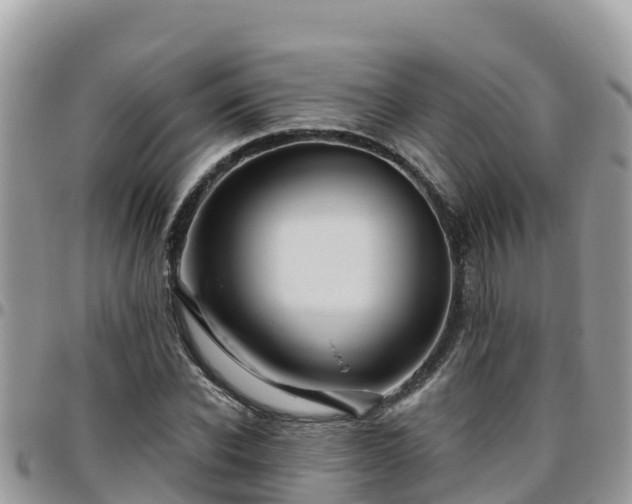 X0000095920926200801181414