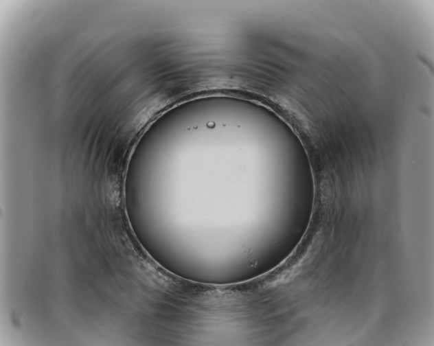 X0000095920929200801181414