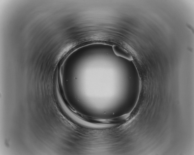 X0000095920930200801181414