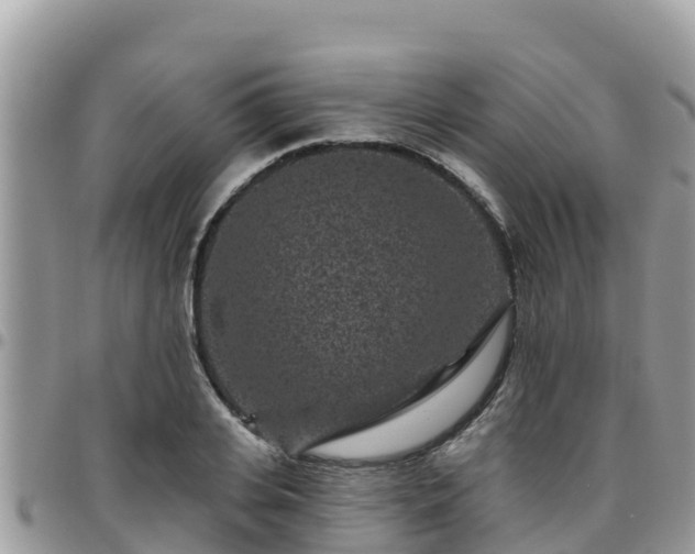 X0000095920935200801181414