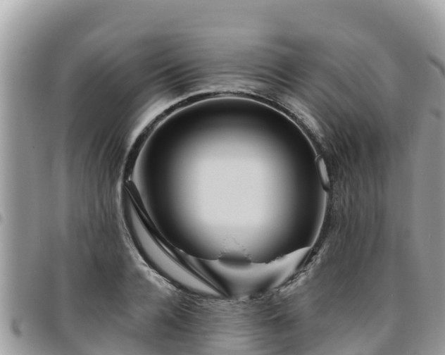 X0000095920936200801181414