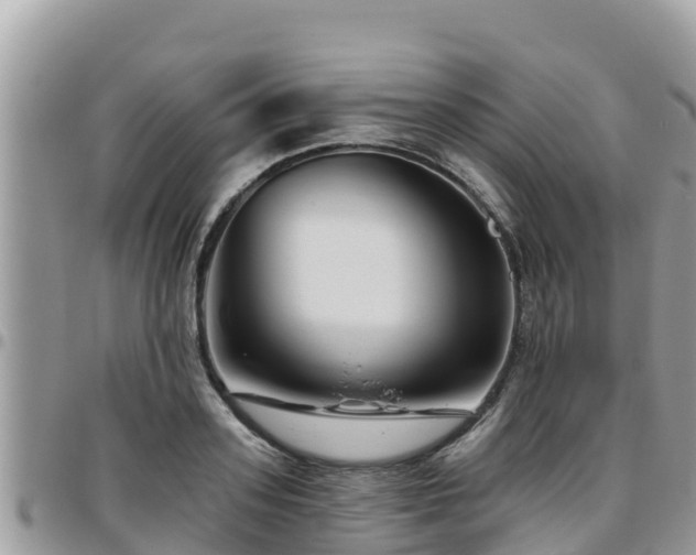 X0000095920939200801181414