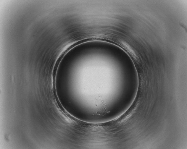 X0000095920940200801181414