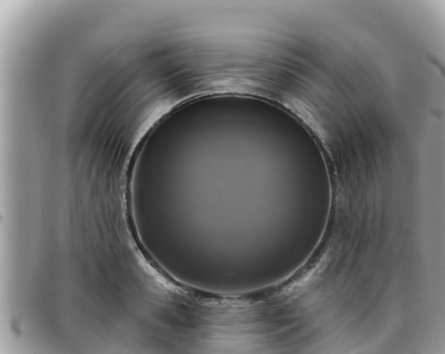 X0000095920941200801181414