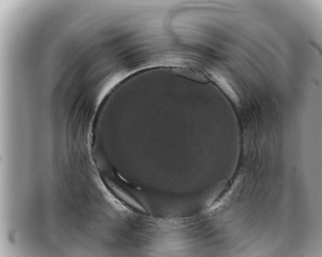 X0000095920944200801181414