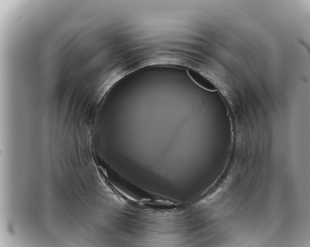 X0000095920945200801181414