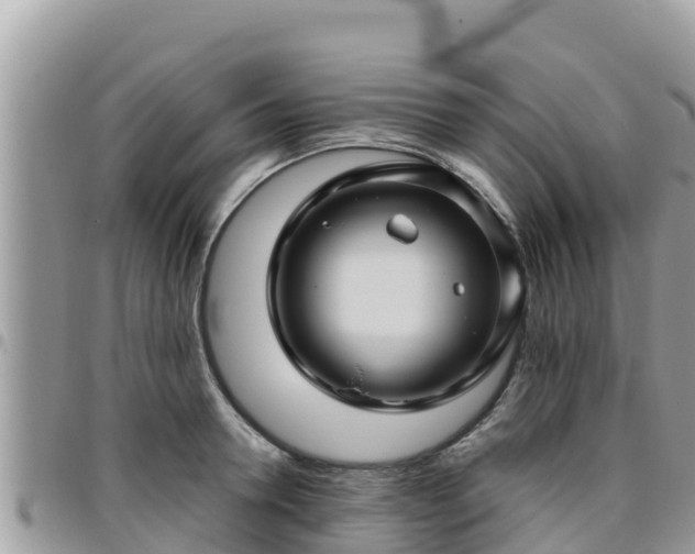 X0000095920946200801181414