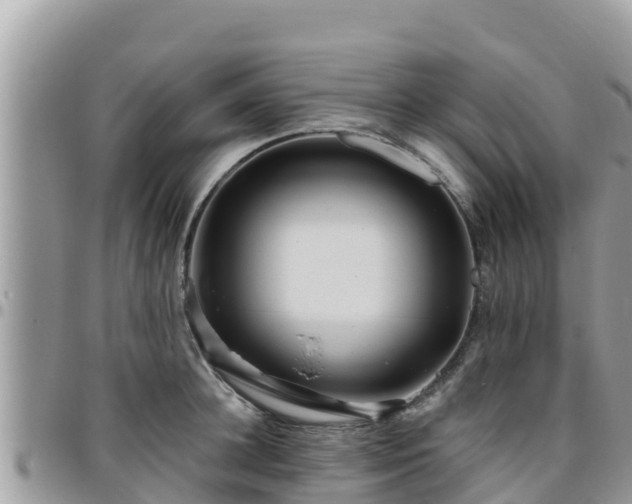 X0000095920948200801181414