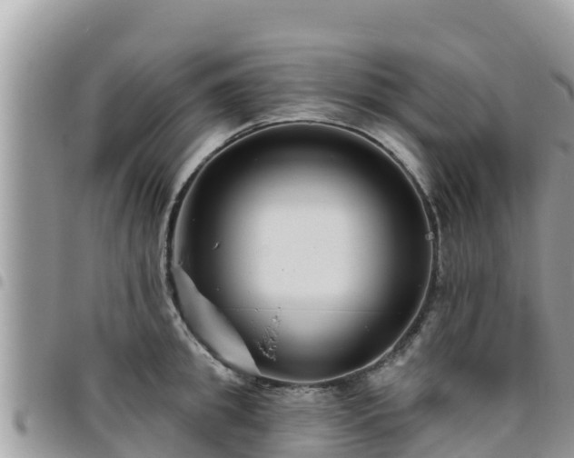 X0000095920949200801181414