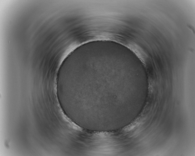 X0000095920950200801181414