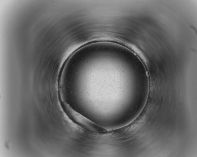 X0000095920951200801181414