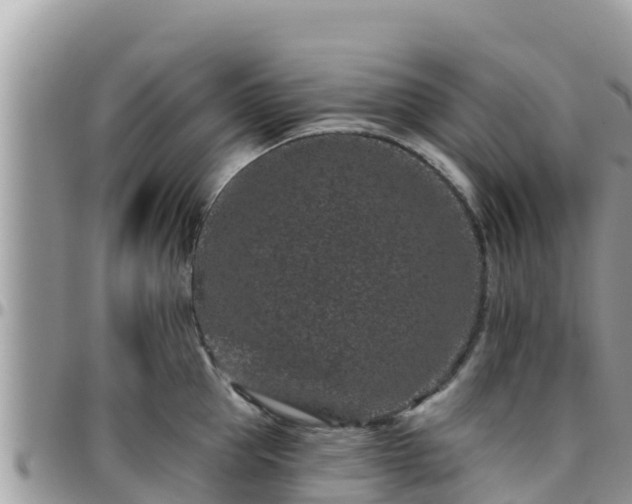 X0000095920953200801181414