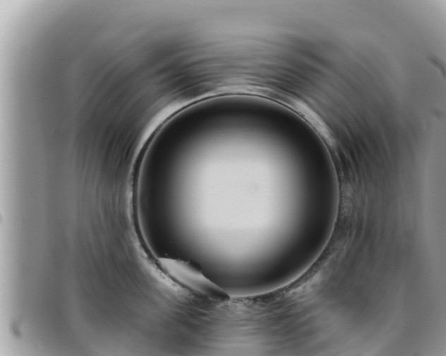 X0000095920955200801181414