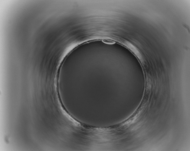 X0000095920958200801181414