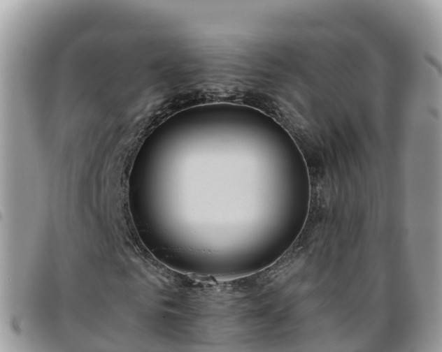 X0000095920961200801181414