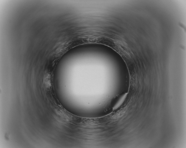 X0000095920962200801181414