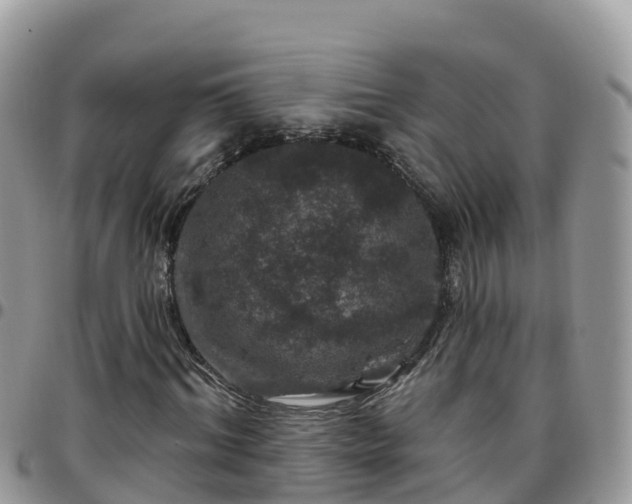 X0000095920964200801181414