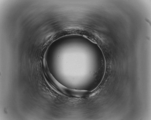 X0000095920965200801181414