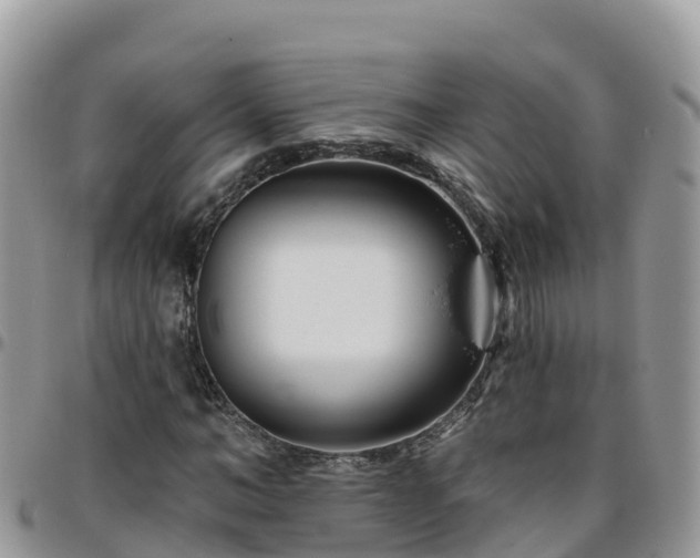 X0000095920966200801181414