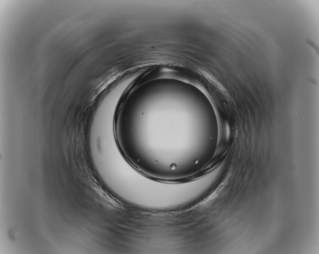 X0000095920969200801181414