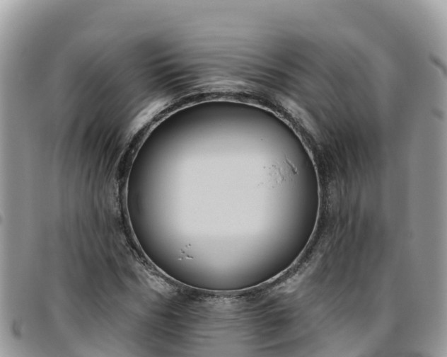 X0000095920970200801181414